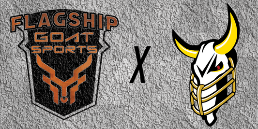 Harrisburg Stampede named Flagship Organization